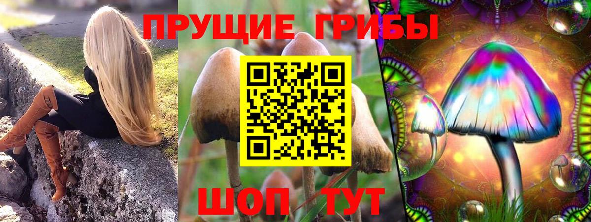 Псилоцибиновые грибы GOLDEN TEACHER  Вход с VPN  Сызрань 